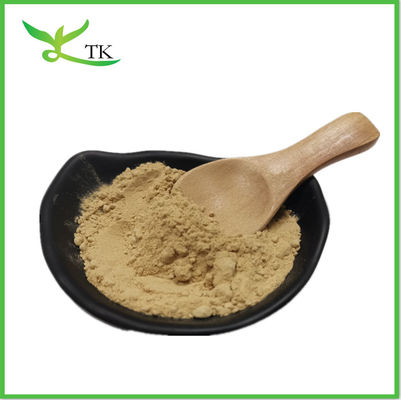 Fenugreek Seed Extract Saponins 50% Powder Trigonella Foenum Graecum Extract