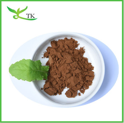Chinese Ginseng Dong Quai Extract Powder Angelica Sinensis Root Extract