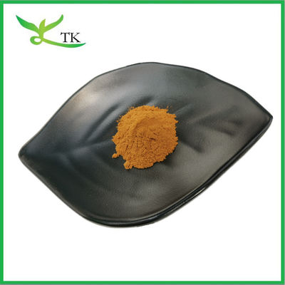 Natural Plant Extract Prunella Vulgaris Extract Self-heal/Heal-all Extract Powder for Herbal Tea