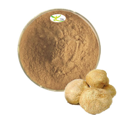 High Quality Mushroom Extract Powder Lions Mane Dual Extract Powder In Bulk