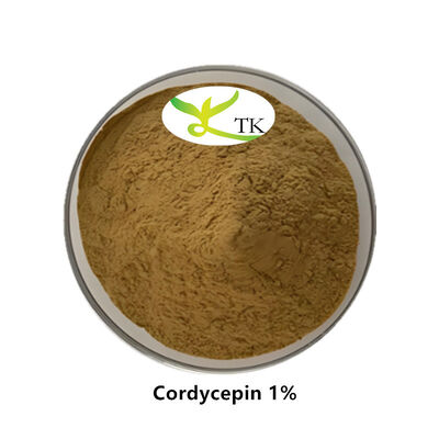 Best Price 100% Natural Cordyceps Sinensis Extract Cordyceps Extract Cordycepin 0.1% 98%
