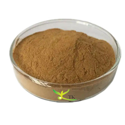 Wholesale Price Natural Supplement Ingredient Cardamom Extract Powder 4:1 10:1