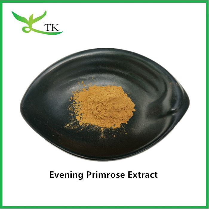 Natural Herbal Supplement Raw Material Evening Primrose Extract Powder Bulk