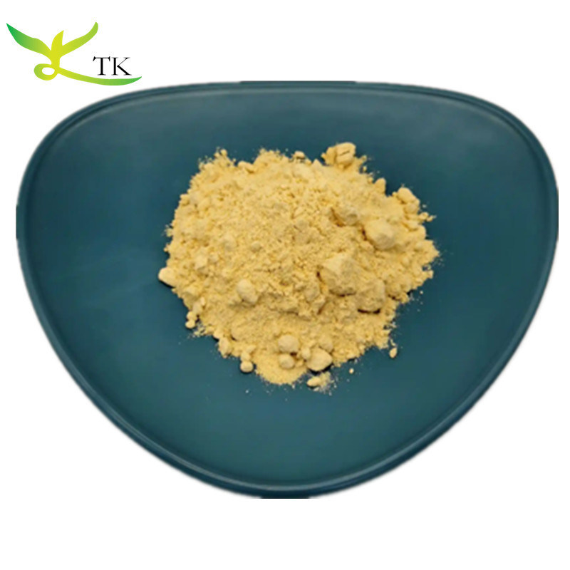 Best Price Food Grade Natural Vegetable Powder 100% Pure Pumpkin Powder in Bulk
