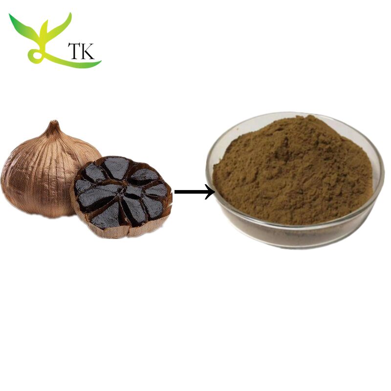 Wholesale Price Natural Fermented Black Garlic Extract Powder SAC S-allyl-l-cysteine