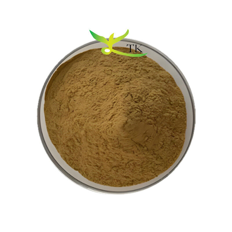 Natural Plant Extract Powder Rheum Rhaponticum Root Extract Powder 4:1 10:1