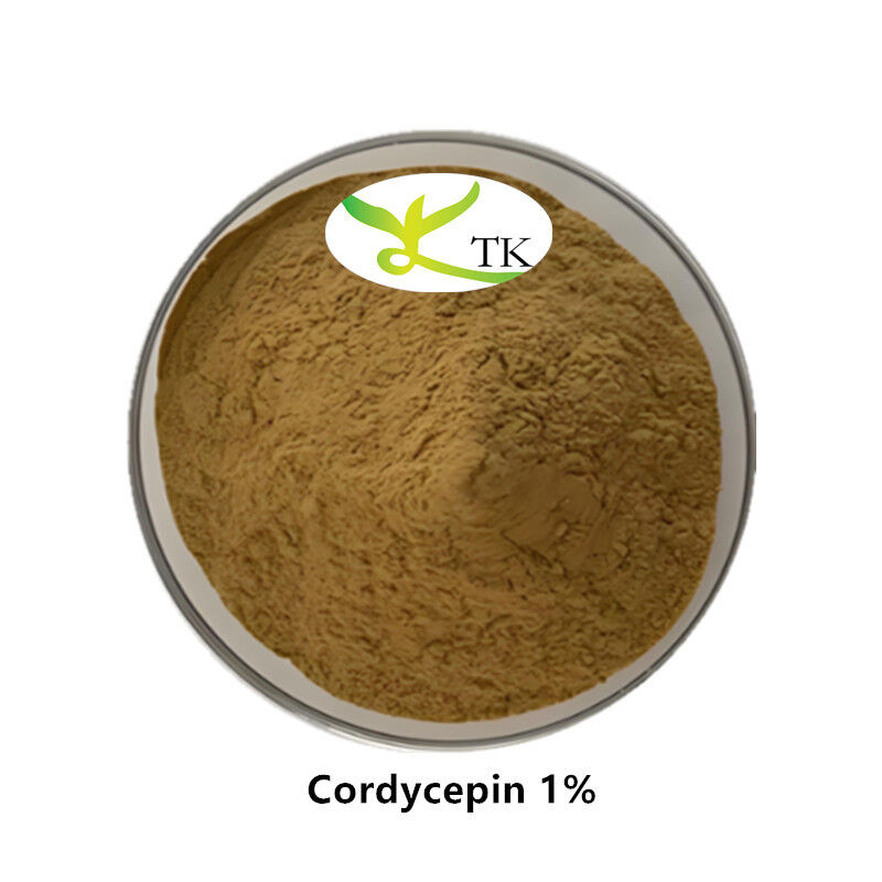 Best Price 100% Natural Cordyceps Sinensis Extract Cordyceps Extract Cordycepin 0.1% 98%