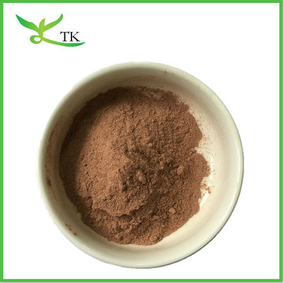 Экстракт гриба Reishi Red Ganoderma Lucidum в порошке