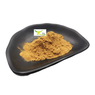 Естественный экстракт Astragalus Membranaceus Astragaloside IV Циклоастрагенол в порошке