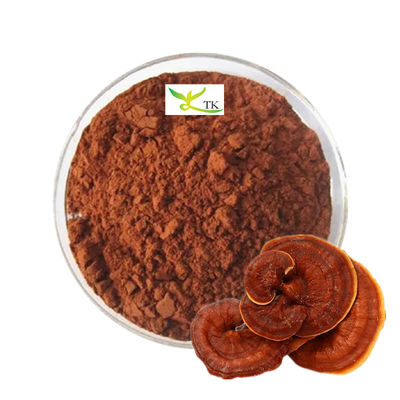 Оптовая цена оптом 100% натуральный порошок грибов Ganoderma Lucidum Reishi