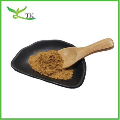 Cordyceps Sinensis 40% Полисахариды Кордицепическая кислота Кордицепсы Синенсис Экстракт