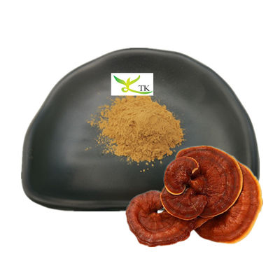 Оптовая торговля экстрактом Ganoderma Lucidum, экстрактом грибов Рейши, экстрактом в порошке Полисахариды 30%