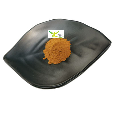 Оптовая цена 100% натуральный экстракт из Boletus Edulis экстракт из Penny Bun экстракт в порошке