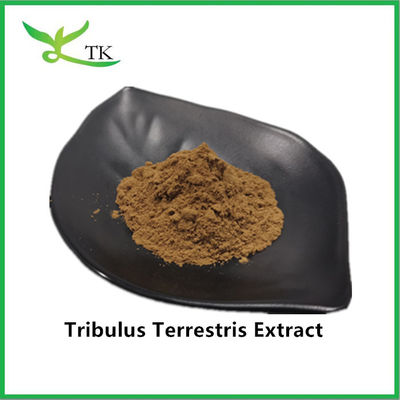 Оптовая продажа Лучшая цена 100% натуральный экстракт Tribulus Terrestris порошок сапонин 40%
