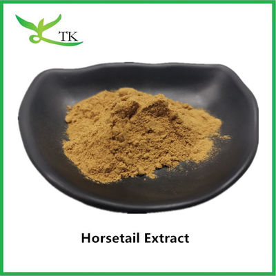 100% натуральный экстракт конского хвоста в порошке Equisetum Arvense Extract 10:1