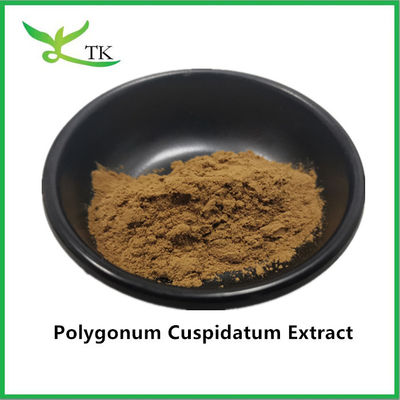 Чистый натуральный растительный экстракт гигантской узловины Polygonum cuspidatum экстракт 20% ресвератрол
