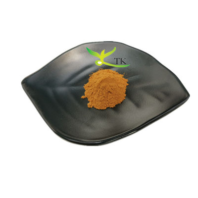 Естественный травяной экстракт Vitex Agnus Castus экстракт Vitex Agnus Castus