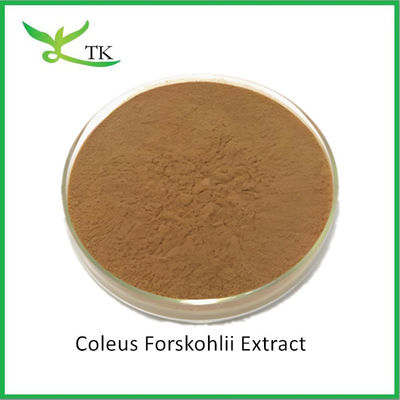 Оптовая торговля натуральным растительным экстрактом Coleus Forskohlii экстракт порошок Forskolin цена