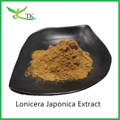 Порошок экстракта жимолости японской (Lonicera japonica), цена экстракта цветков жимолости японской