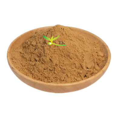 Естественный растительный экстракт Platycladus Orientalis Leaf Extract Powder для ухода за волосами