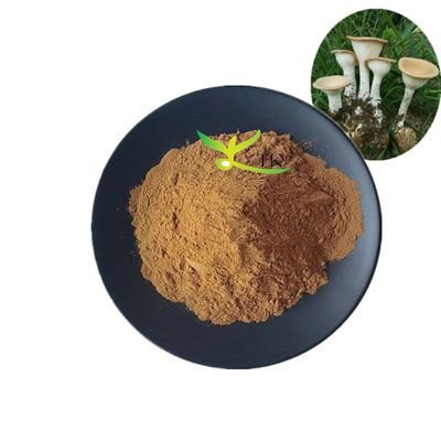 Пищевой натуральный экстракт грибов Lignosus Rhinocerus Tiger Milk Powder 10% ~ 30% Полисахариды