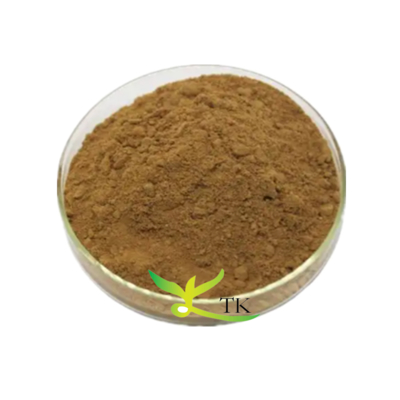 Оптовая цена Бесплатный образец Зеленый чай Сапонин Экстракт Camellia Sinensis Экстракт Чай Сапонин оптом