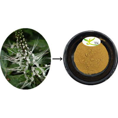 Естественный Ортосифон Аристотас Экстракт Ортосифон Лист Экстракт Порошок для очистки Калькулы