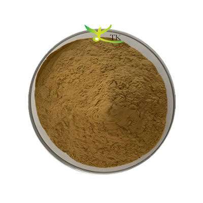 Производственное предложение Bacopa Monnieri экстракт 40% Bacopasides порошок Brahmi экстракт порошок