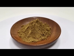 Оптовая цена 100% натуральный Coptis Chinensis экстракт 10:1 20:1 На складе