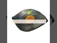 Естественный травяной экстракт Vitex Agnus Castus экстракт Vitex Agnus Castus