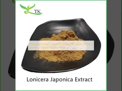 Порошок экстракта жимолости японской (Lonicera japonica), цена экстракта цветков жимолости японской