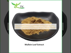 Естественный растительный экстракт Добавка Verbascum Thapsus Mullein Leaf Extract Verbascum Thapsus Extract Powder