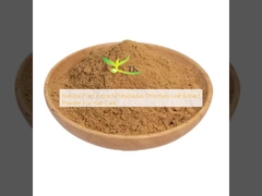 Естественный растительный экстракт Platycladus Orientalis Leaf Extract Powder для ухода за волосами