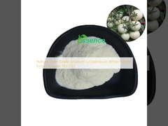 Естественный пищевой экстракт Solanum Lycopersicum White Tomato Extract Powder 10:1-20:1