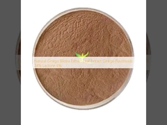 Натуральный экстракт листьев гинкго билоба, экстракт гинкго флавоноидов 24%, лактоны 6%