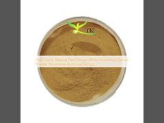 Высококачественный натуральный растительный экстракт экстракт белой хурмы порошок экстракт плодов/листьев хурмы