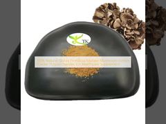 100% Натуральный Экстракт Грифолы Курчавой (Майтаке) в Порошке, Полисахариды для Пищевых Добавок