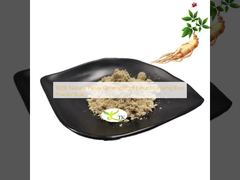 100% Натуральный Экстракт Корня Женьшеня Panax, Порошок Корня Женьшеня, Оптовая продажа